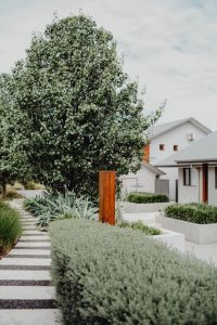 Simpson Building Group New Builds landscape works
